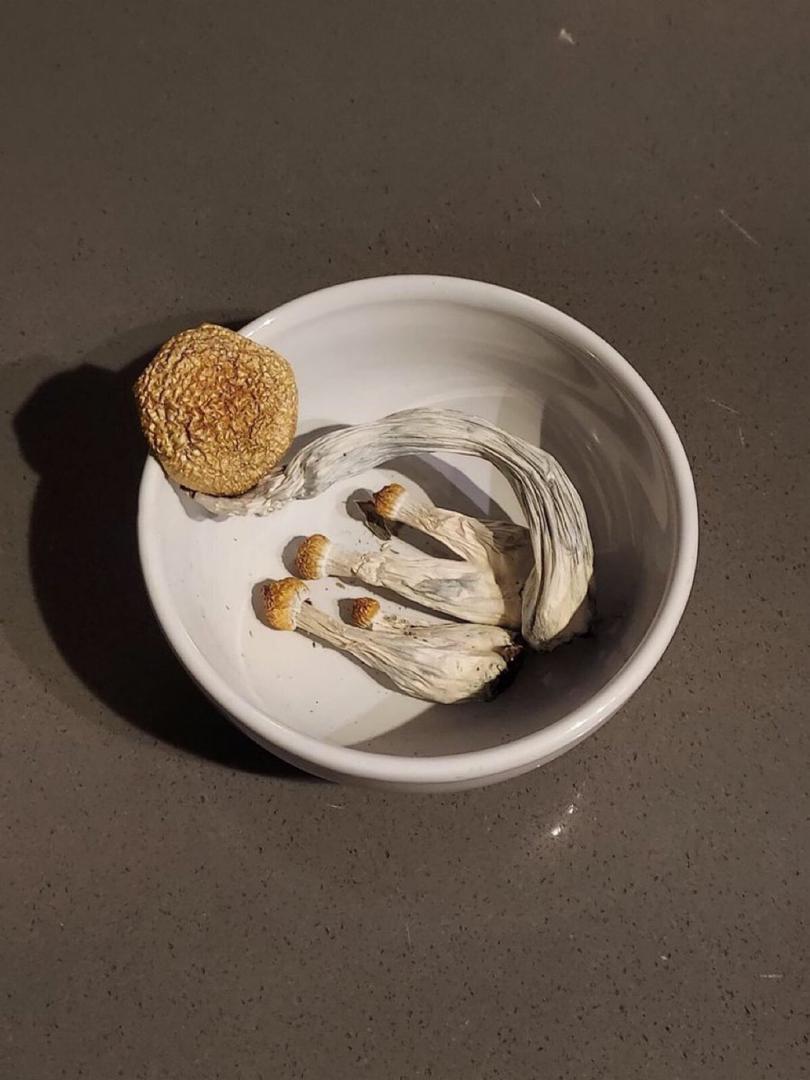 dried shrooms online hamburg
