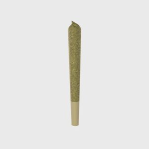 Amnesia 10HC Prerolls – Power LVL 4/5